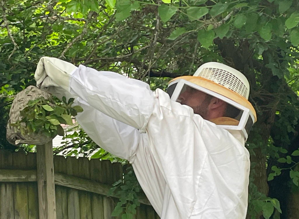 man removing a honeycomb in a commercial property